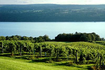 PHOTO (select to view enlarged photo)