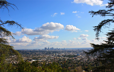 PHOTO (select to view enlarged photo)