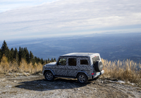 PHOTO (select to view enlarged photo)