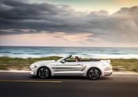 PHOTO (select to view enlarged photo)