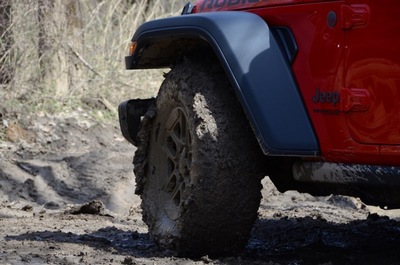 PHOTO (select to view enlarged photo)