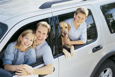 family suv (select to view enlarged photo)