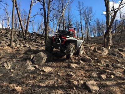 PHOTO (select to view enlarged photo)