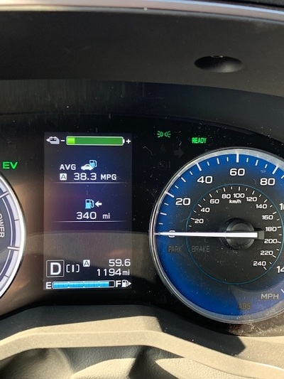 PHOTO (select to view enlarged photo)