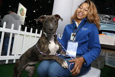 PHOTO (select to view enlarged photo)