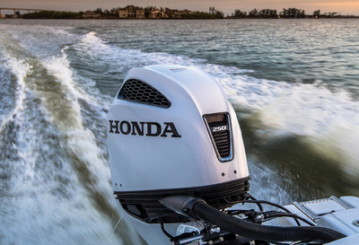 PHOTO (select to view enlarged photo)