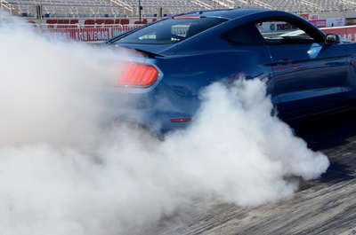 PHOTO (select to view enlarged photo)