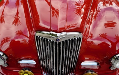 PHOTO (select to view enlarged photo)