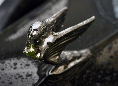 PHOTO (select to view enlarged photo)