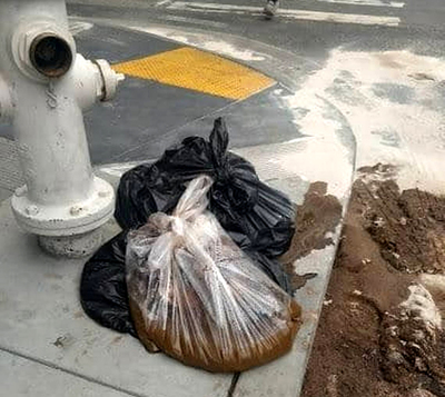 PHOTO (select to view enlarged photo)