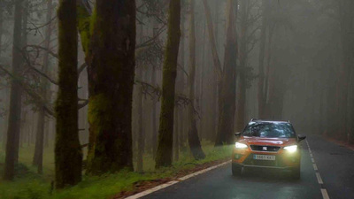 PHOTO (select to view enlarged photo)