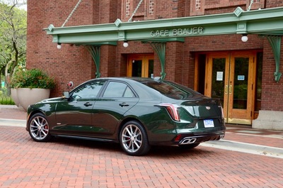 PHOTO (select to view enlarged photo)