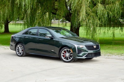 PHOTO (select to view enlarged photo)