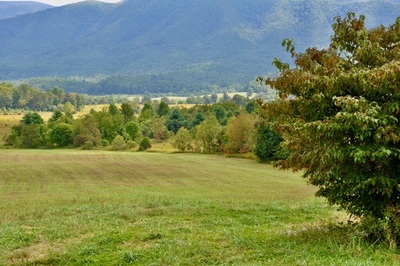 PHOTO (select to view enlarged photo)