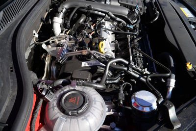 PHOTO (select to view enlarged photo)