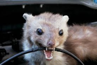 PHOTO (select to view enlarged photo)