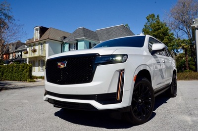 PHOTO (select to view enlarged photo)