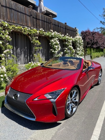 PHOTO (select to view enlarged photo)