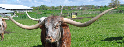 PHOTO (select to view enlarged photo)