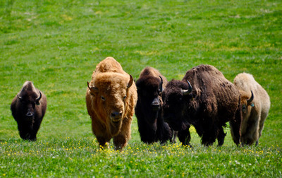 PHOTO (select to view enlarged photo)