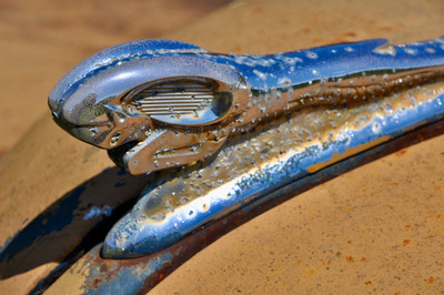 PHOTO (select to view enlarged photo)