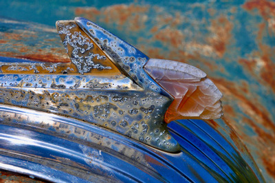 PHOTO (select to view enlarged photo)