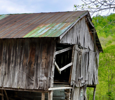 PHOTO (select to view enlarged photo)