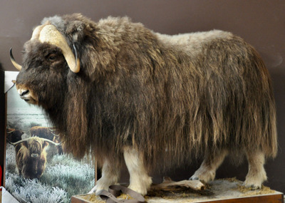 PHOTO (select to view enlarged photo)