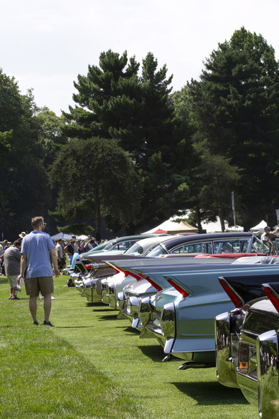 PHOTO (select to view enlarged photo)