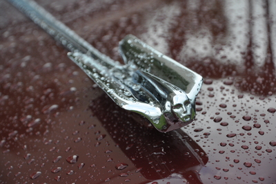 PHOTO (select to view enlarged photo)