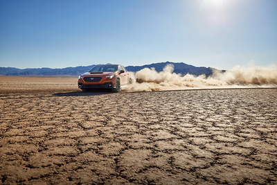 PHOTO (select to view enlarged photo)