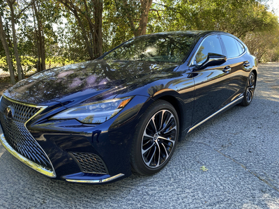 PHOTO (select to view enlarged photo)