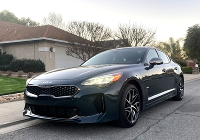 PHOTO (select to view enlarged photo)