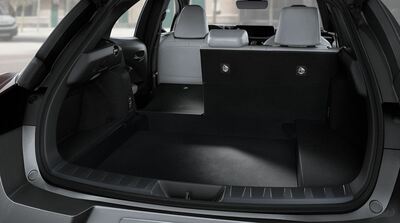 PHOTO (select to view enlarged photo)