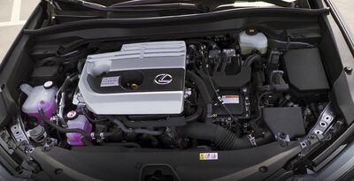 PHOTO (select to view enlarged photo)