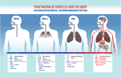 PHOTO (select to view enlarged photo)