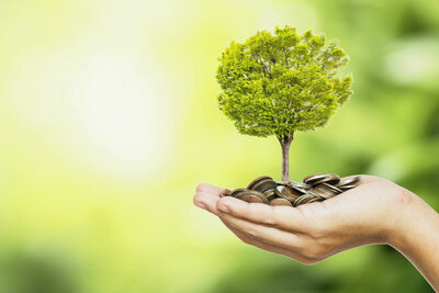 PHOTO (select to view enlarged photo)