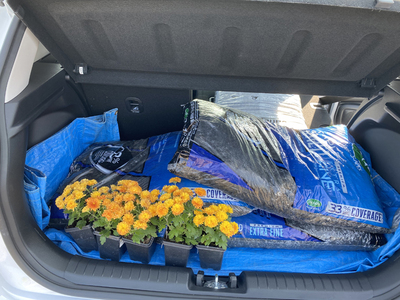 PHOTO (select to view enlarged photo)