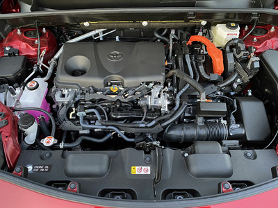 PHOTO (select to view enlarged photo)