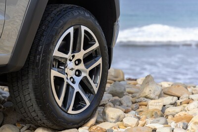 PHOTO (select to view enlarged photo)