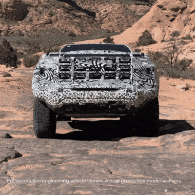 PHOTO (select to view enlarged photo)