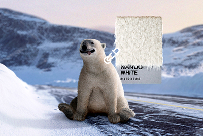 PHOTO (select to view enlarged photo)