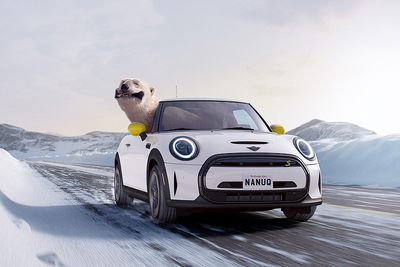 PHOTO (select to view enlarged photo)