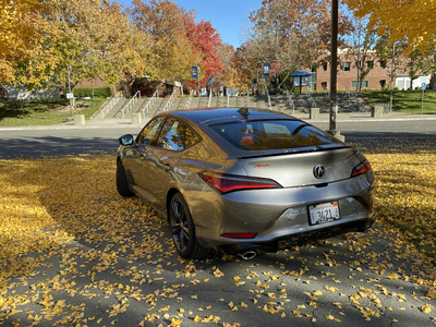 PHOTO (select to view enlarged photo)