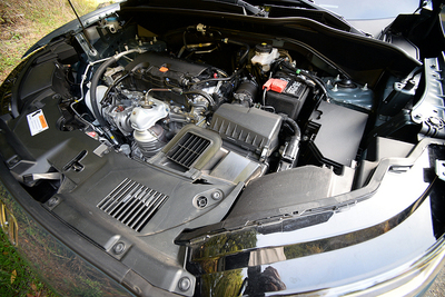 PHOTO (select to view enlarged photo)