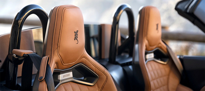 PHOTO (select to view enlarged photo)