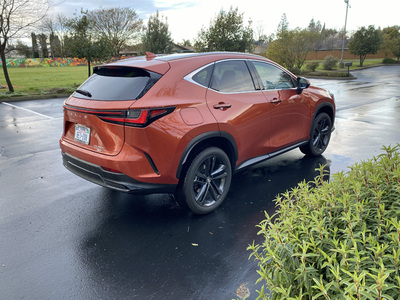 PHOTO (select to view enlarged photo)