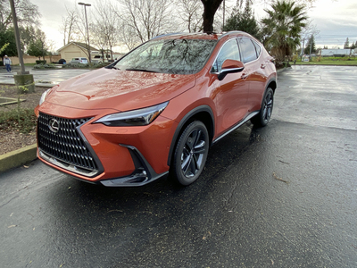 PHOTO (select to view enlarged photo)