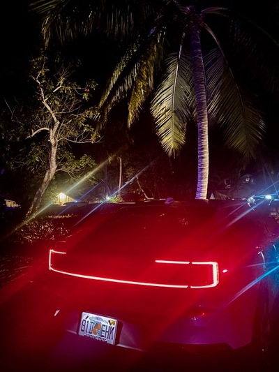 PHOTO (select to view enlarged photo)