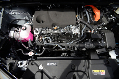 PHOTO (select to view enlarged photo)